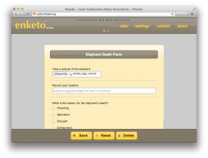 Enketo screenshot